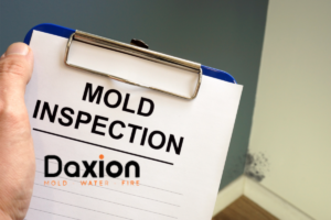 Mold Inspection