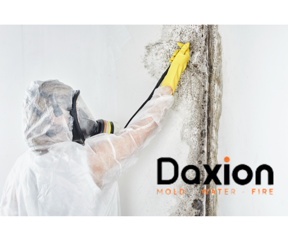 Miami Mold Removal Company